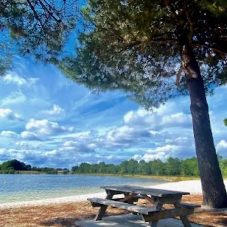 La Landaise En Bord Du De Peyre A
